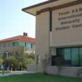  Tamiu.jpg