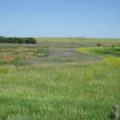  PrairieWinds SD1 - 2.jpg