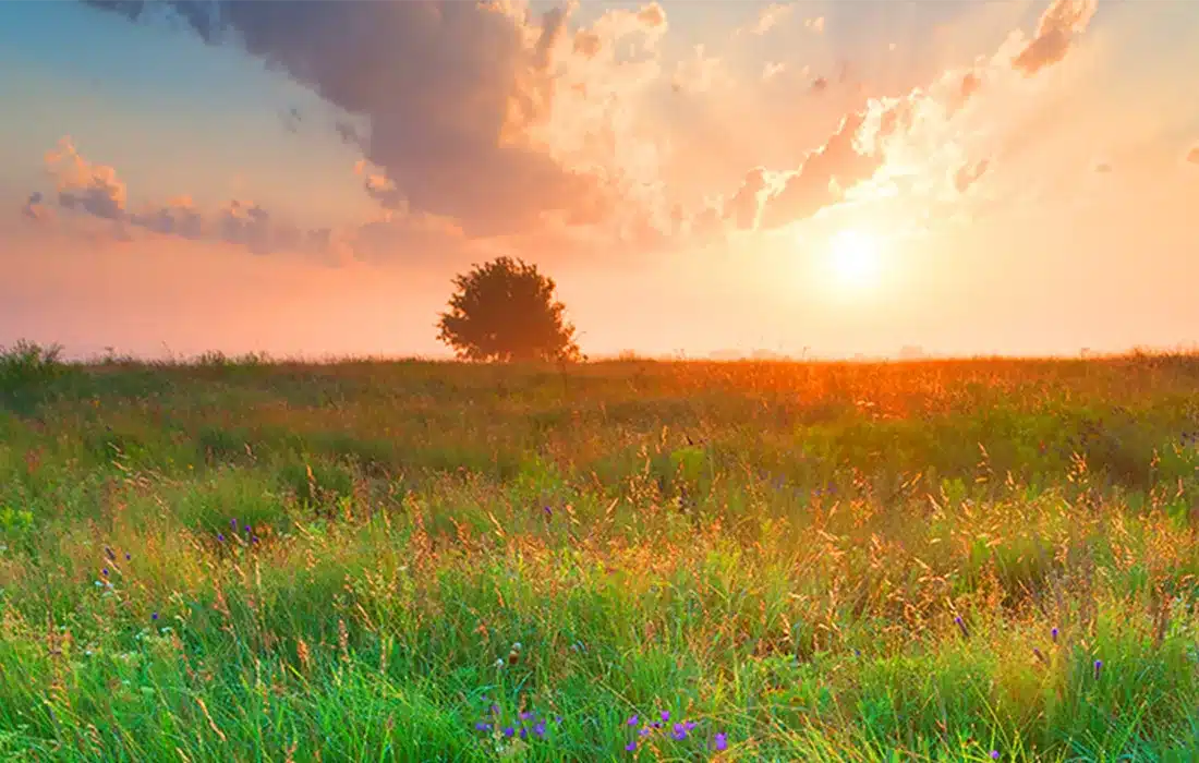 Slider Background image
