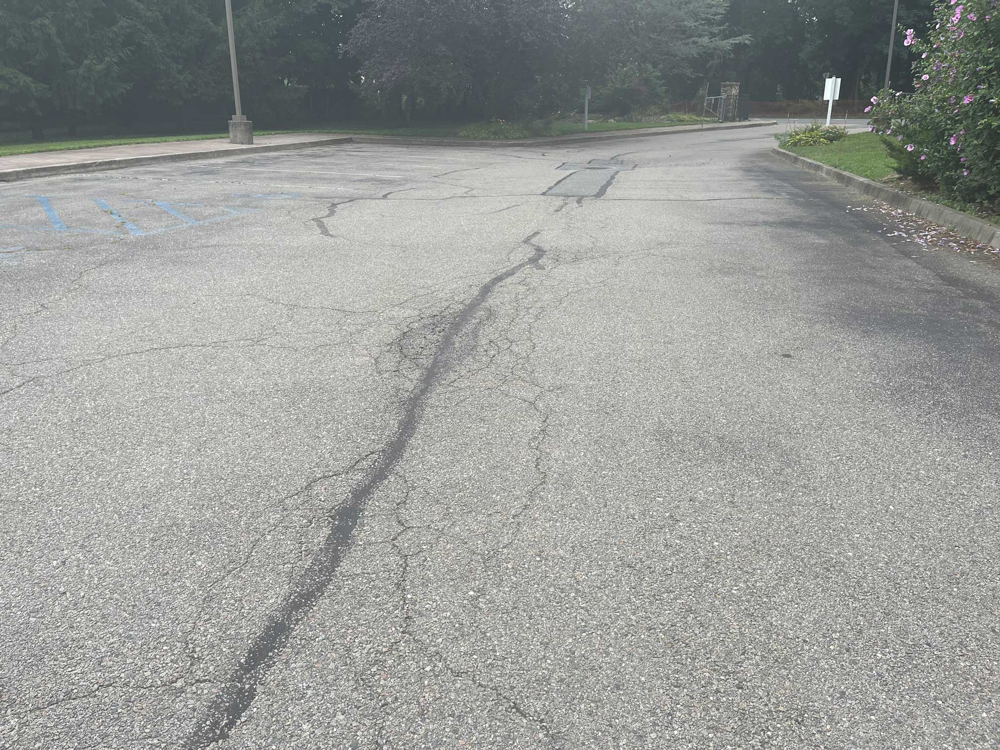 tree-lined parking lot pavement